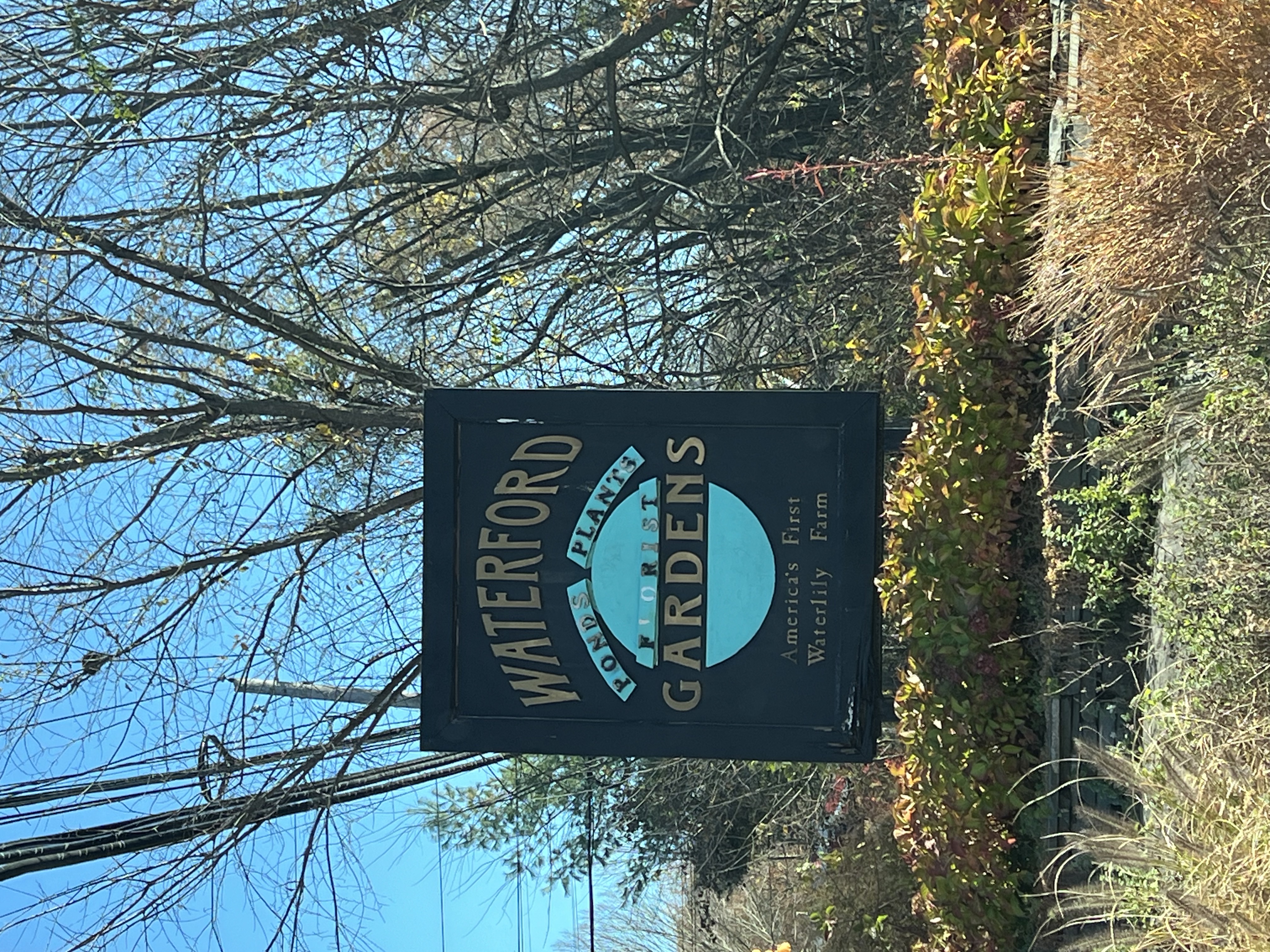 Earlier this November, Fitz’s Fish Ponds proudly expanded its operations by purchasing the iconic Waterford Gardens property in Saddle River, NJ from the Meeks family. Earlier this November, Fitz’s Fish Ponds proudly expanded its operations by purchasing the iconic Waterford Gardens property in Saddle River, NJ from the Meeks family.