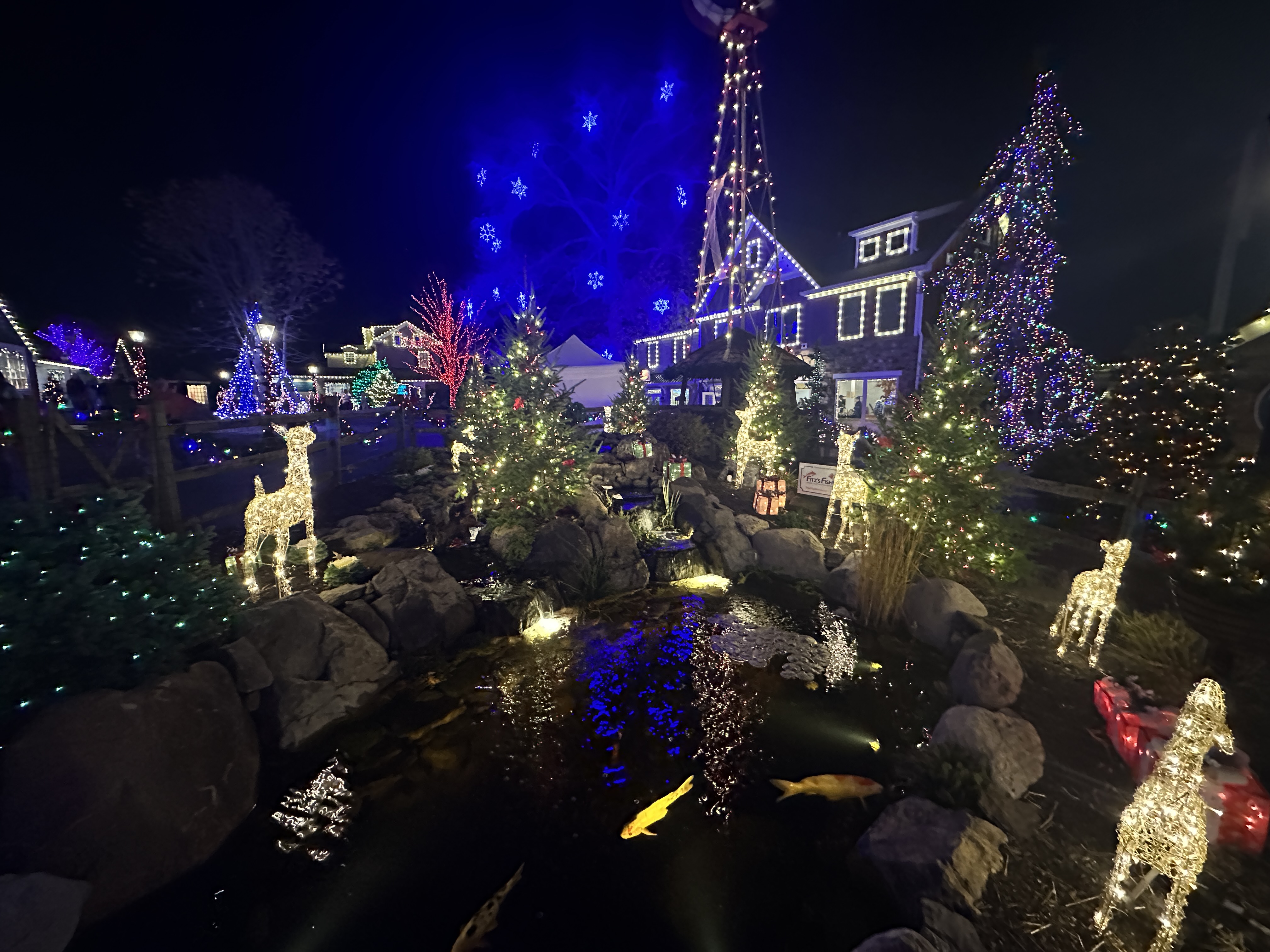 The transformation of the Peddler’s Village pond highlights Fitz’s Fish Ponds’ ability to combine innovative design with natural aesthetics, creating a sustainable and visually captivating water feature. The transformation of the Peddler’s Village pond highlights Fitz’s Fish Ponds’ ability to combine innovative design with natural aesthetics, creating a sustainable and visually captivating water feature.