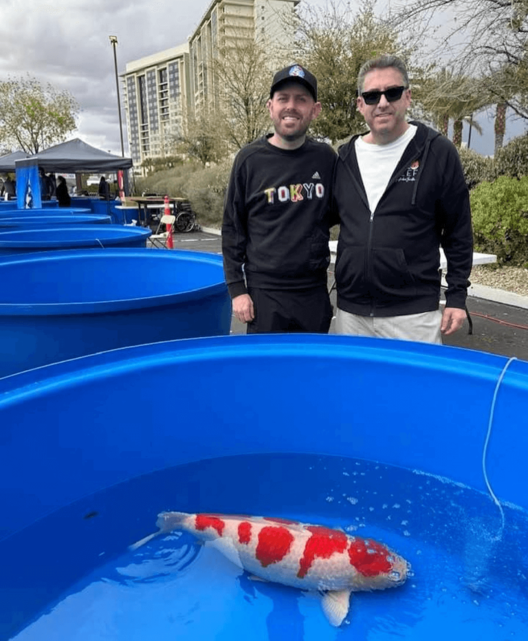 Fitz’s Fish Ponds & Polo Reef Win Grand Champion at All American Koi Show in Las Vegas! Fitz’s Fish Ponds & Polo Reef Win Grand Champion at All American Koi Show in Las Vegas!